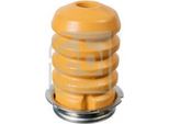 Febi Bilstein 109035 - Oe 093168278 Paracolpi, Sospensione Per Movano B (X62)