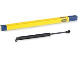 Magneti Marelli 430719058200 - Oe 51 24 8 222 913 Ammortizzatore Portellone Posteriore Per Serie 5 (E39)
