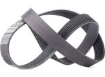Gates 8PK1225 - Cinghia Oe RF5D 15 909 Con Nervatura A V Per 6 (G), 5 (CR19), 3 (Bk)
