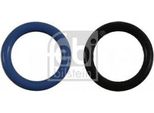 Febi Bilstein 21587 - Febi Bilstein 21587 - Guarnizione Oe 1J0 198 247, Filtro Carburante Per New Beetle, Passat (3B), Leon (1M1), A6 (4B), A4 (8H), A4 (8E), A4 (8D), A3 (8L), Golf Iv (1J), Bora (1J), Superb I (3U), Octavia I (1U), Toledo Ii (1M2)