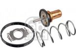 Febi Bilstein 172432 - Oe 132 200 00 15 Termostato, Liquido Di Raffreddamento Per Fortwo (451), Fortwo Cabrio (451)
