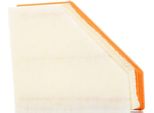 Champion CAF100887P - Filtro Aria Oe 13 71 7 797 465 Per Serie 3 (E90), Serie 1 (E81), Serie 1 (E87), Serie 1 (E88), Serie 1 (E82), Serie 3 (E93), Serie 3 (E92), Serie 3 (E91), X1 (E84)
