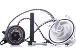 Ridex 3096W0215 - Set Pompa Acqua + Cinghia Di Distribuzione Per S70 (874), S80 I (184), V70 I (875, 876), V70 Ii (285), T4