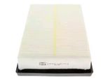 Champion CAF100714P - Filtro Aria Oe 46783546 Per Stilo
