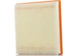 Champion CAF100945P - Filtro Aria Oe 13272719 Per Cruze (J300), Cruze (J305), Cruze (J308), Orlando (J309), Astra J, Cascada (W13), Zafira Tourer C