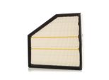 Champion CAF100934P - Filtro Aria Oe 13 717 793 647 Per Serie 5 (E60), Serie 5 (E61), Serie 6 (E63), Serie 6 (E64)