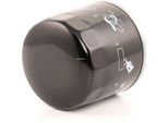 Champion COF102137S Filtro Olio Oe 1520800QAG Compatibile Con Wind, Twingo, Thalia, Modus, Logan, Kangoo, Clio, Kubistar, Sandero