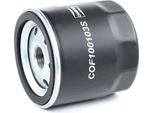 Champion COF100103S - Filtro Olio Oe 1059 924 Per Fiesta V, Focus (Daw, Dbw), Focus (Dfw), Focus (Dnw), Tourneo Connect, Transit Connect, Transit Tourneo