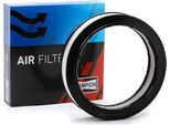 Champion CAF100102R Filtro Aria Oe 144457 Compatibile Con Arosa, Cordoba, Ibiza, Inca, Marbella, Favorit, Felicia, Octavia, Caddy, Golf Iii, Lupo, Polo 6N, Polo 6V, Vento
