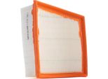 Champion CAF100888P - Filtro Aria Oe 1516 725 Per B-Max, Ecosport, Fiesta Vi, Ka+ (Fk), Tourneo Connect, Transit Courier, 2 (De, Dh)