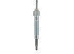 Champion CH225 - Candeletta Oe 36710 42000 Per Terracan (Hp)