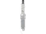 Champion OE251 - Candela Oe 1770305 Per Tourneo Connect, Transit Connect, Transit Courier, B-Max, C-Max, Ecosport, Fiesta Vi, Fiesta Vii, Focus Iii, Focus Iv, Grand C-Max, Mondeo V