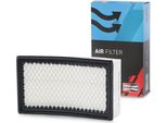 Champion CAF100820P - Filtro Aria Oe 16546 00QAR Per Juke (F15), Micra Iii (K12), Note (E11, NE11), Tiida (C11), Clio Iii, Modus (F/JP0)