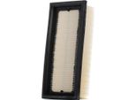 Champion CAF100720P - Filtro Aria Oe 16546 00QAL Per Clio Ii, Kangoo (Kc), Kangoo (Fc), Thalia I (Lb), Twingo I (C06)