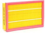 Champion CAF100722P - Filtro Aria Oe 1432 209 Per Transit, Transit Tourneo, Transit V363, Pathfinder Iii (R51)