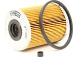 Champion CFF100253 Filtro Carburante Oe 190653 Compatibile Con V40, S40, Vel Satis, Trafic, Scenic, Safrane, Megane, Master, Laguna, Espace, Avantime, Vivaro, Movano, Arena, Primera, Primastar, Space Star, Carisma, Xm