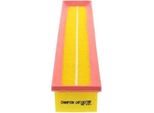 Champion CAF100739P - Filtro Aria Oe 16546 00QAK Per Duster, Logan, Sandero, Almera Ii (N16), Thalia Ii (Lu), Twingo Ii (CN0), Clio Ii, Kangoo (Kc), Kangoo (Fc), Logan I, Thalia I (Lb)