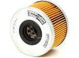 Champion CFF100252 - Filtro Carburante Oe 4402894 Per Movano (X70), Clio Ii, Espace Iii (Je), Kangoo (Kc), Kangoo (Fc), Laguna I, Megane I, Megane Scenic, Rapid, Scenic I, Thalia I (Lb), Trafic (P, T, V)