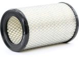 Champion CAF100434C - Filtro Aria Oe 16546 00QAG Per Clio Ii, Kangoo (Kc), Kangoo (Fc), Twingo I (C06), Twingo I (S06), Twingo Ii (CN0), Clio I