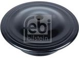 Febi Bilstein 19381 - Piastra A Molla Oe 191 512 113 Per Toledo I (1L2), Corrado (53I), Golf Iii (1H), Golf Cabriolet (1E), Jetta Ii (165, 19E, 1G2), Vento (1H)