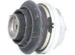 LemfÖRder 25402 01 Cuscinetto, Motore Oe A2032401417 Compatibile Con Slk, Classe S, Classe E, Cls, Clk, Classe Clc, Classe C