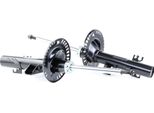 Ridex 854S0568 - Oe 7E5 413 031 A Ammortizzatore, Asse Anteriore Per T5, T6