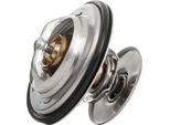 Dr!Ve+ DP2310.14.0541 - Oe 3396924 KüHlwasserthermostat FüR Ranger (Eq, Er, R), Ranger (Et), 2 (De, Dh), 2 (Dy), 3 (Bk), 3 (Bl), 323 (Ba), 323 (Bj), 5 (CR19), 6 (G), CX-5 (Gh, Ke), CX-7 (Er), Mpv I (Lv), Mpv Ii (Lw), MX-3 (Ec), MX-6 (Gd), MX-6 (Ge), Premacy (Cp), Xedos 6 (Ca), Xedos 9 (Ta)