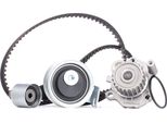 Ridex 3096W0385 - Set Pompa Acqua + Cinghia Di Distribuzione Per A3 (8L), Tt (8N), Alhambra (7V), Leon (1M1), Toledo Ii (1M2), Octavia I (1U), Bora (1J), Golf Iv (1J), New Beetle, Sharan (7M)