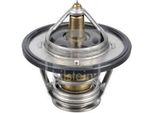 Febi Bilstein 33457 - Termostato Oe 19301 P8E A10, Refrigerante Per Accord Vii, Accord Viii, Civic Viii, CR-V Ii (Rd), CR-V Iii (Re), FR-V (Be), Legend Iv (Kb), Odyssey, S2000 (Ap)