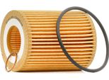 Stark SKOF-0860170 - Filtro Olio Oe 11427605342 Per Serie 1 (F20), Serie 1 (F21), Serie 3 (F30), Serie 3 (F31)