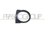 Prasco BM0191242 - Telaio Oe 51112695255, Fendinebbia Sinistro Per Serie 3 (E46)