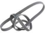 Gates 6DPK1698 - Cinghia Oe 11287800341 Con Nervatura A V Per Serie 1 (E81), Serie 1 (E87), Serie 1 (E88), Serie 1 (E82), Serie 3 (E90), Serie 3 (E93), Serie 3 (E92), Serie 3 (E91)