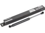 Ridex 514G0105 - Oe 51 23 8 402 551 Ammortizzatore Del Cofano Per X5 (E53)