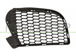 Prasco BM8252124 - Griglia Di Ventilazione Oe 51117205577, Sinistra Per X5 (E70)