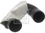 Febi Bilstein 100616 - Tubo Radiatore Oe 11 53 7 545 665 Per Z4 (E89), X6 (E71), Serie 3 (E91), Serie 3 (E92), Serie 3 (E93), Serie 3 (E90), Serie 1 (E82), Serie 1 (E88)