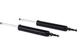 Ridex 854S1574 - Oe 33 50 4 035 262 Ammortizzatore, Asse Posteriore Per Serie 1 (E81), Serie 1 (E87), Serie 1 (E88), Serie 1 (E82), Serie 3 (E90), Serie 3 (E93), Serie 3 (E92), Serie 3 (E91)