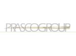 Prasco RN7001414 - Oe 808210779R Modanatura, Anteriore Sinistra Per Captur I (H5, J5)