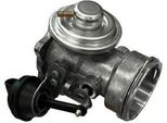Magneti Marelli 571822112047 - Valvola Egr Oe 038131501AB Per Ibiza (6L), Cordoba (6L), Fabia I (6Y), Polo (9N)