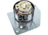 Febi Bilstein 43668 - Oe 82 00 767 775 Puleggia Tenditore, Cinghia Di Distribuzione Per Scenic Iii, Megane Iii, Megane Cc, Grand Scenic Iii (Jz)