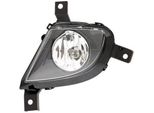 Hella 1N0 010 084-021 - Oe 63 17 7 199 894 Fendinebbia, Destro Per Serie 3 (E90), Serie 3 (E91)