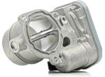 Ridex 158T0056 - Corpo Farfallato Oe 11717791481 Per Serie 1 (E81), Serie 3 (E90), Serie 3 (E93), Serie 3 (E92), Serie 3 (E91), Serie 5 (E60), Serie 5 (E61), Serie 6 (E63), Serie 6 (E64), Serie 7 (E65), X3 (E83), X5 (E53), X5 (E70), X6 (E71)