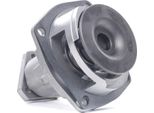 Stark SKWP-0520295 - Pompa Acqua Oe 532912 Per 145 (930), 146 (930), 33 (907)