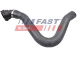 Fast FT61407 - Tubo Radiatore Oe 51793056, Superiore Per Mito (955), Punto