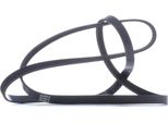 Stark SK-5PK2030 - Cinghia Oe 11282247191 Con Nervatura A V Per Serie 3 (E46), Serie 5 (E39), Freelander (L314)