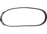 Stark SK-4PK800 - Cinghia Oe 88458 87712 Con Nervatura A V Per Serie 5 (F10), Serie 5 Gt (F07), Serie 5 (F11), Serie 6 (F12), Serie 6 (F13), Serie 7 (F01), X5 (E70), X5 (F15, F85), X6 (E71), Sedici, Civic Vi, Crx Iii (Eg, Eh), HR-V (Gh), Logo (Ga), Almera I (N15), Primera (P11), Primera (W10), Forfour (454), Fortwo Cabrio (451), Fortwo (451), Camry (V1), Iq (J1)