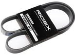 Ridex 305P0116 - Dispositivi Di Fissaggio Oe 1 141 317 Per Grand C-Max, Fusion, Focus Iii, Fiesta Vi, Fiesta V, C-Max, B-Max, 2 (Dy)