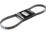Ridex 305P0359 - Cinghia Oe 1 354 256 Con Nervatura A V Per C-Max, Focus C-Max (DM2), Focus Ii, Focus Iii, C30 (533), S40 Ii (544), V50 (545)