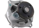 Ridex 1260W0157 - Pompa Dell'acqua Oe Pa 6013 Per Cougar, Escort V, Escort Vi, Escort Vii, Focus (Daw, Dbw), Focus (Dnw), Focus (Dfw), Maverick, Mondeo Ii, Orion Iii (Gal), Tourneo Connect, Transit Connect