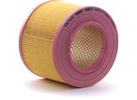 Valeo 585683 Filtro Aria Oe 13712247444 Compatibile Con Serie 3 E46, Serie 3 E90, Serie 3 E93, Serie 3 E92, Serie 3 E91, Serie 5 E39, Serie 5 E60, Serie 5 E61, Serie 7 E38, Serie 7 E65, X3, X5, X6