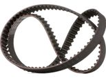 Cinghia Dentata Gates 5509XS Oe 1388494 Compatibile Con XC90, XC70, XC60, V70, V60, V50, V40, S80, S70, S60, S40, C70, C30, Safrane, Laguna, S-Max, Mondeo, Kuga, Focus